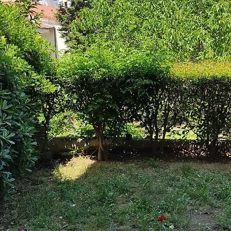 סלוניקי Cozy Apartment 2 מראה חיצוני תמונה